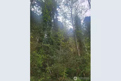 1600 Laura Street, Aberdeen, WA 98520 - Photo 6