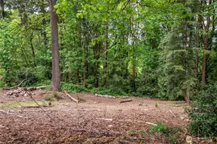 303 E Cedar Ln, Longview, WA 98632 - Photo 36