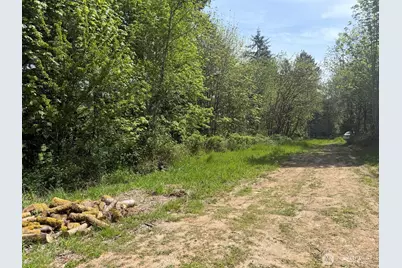 0 Roswell Road, Centralia, WA 98531 - Photo 4