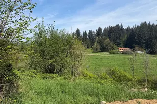 0 Roswell Rd, Centralia, WA 98531 - Photo 1