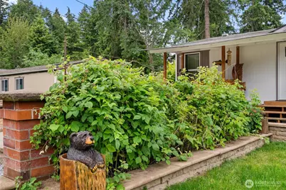 13741 Horsefall Avenue SE, Rainier, WA 98576 - Photo 26