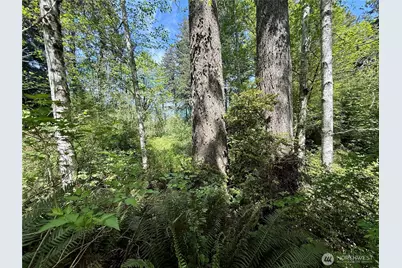 5162 Phillips Road SE, Port Orchard, WA 98367 - Photo 18
