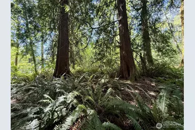 5162 Phillips Road SE, Port Orchard, WA 98367 - Photo 20