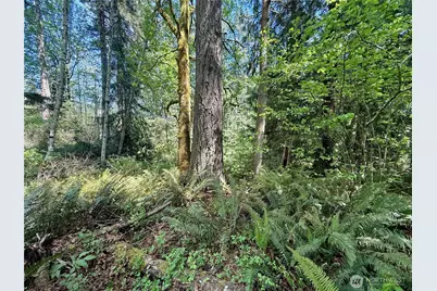 5162 Phillips Road SE, Port Orchard, WA 98367 - Photo 28