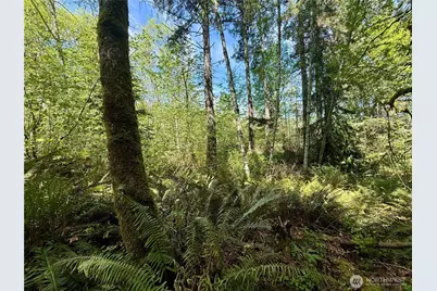 5162 Phillips Road SE, Port Orchard, WA 98367 - Photo 24