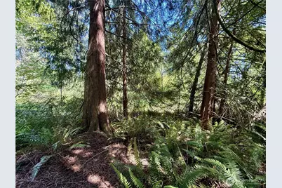 5162 Phillips Road SE, Port Orchard, WA 98367 - Photo 30