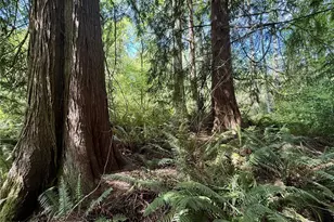 5162 Phillips Rd SE, Port Orchard, WA 98367 - Photo 1
