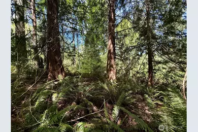 5162 Phillips Road SE, Port Orchard, WA 98367 - Photo 10