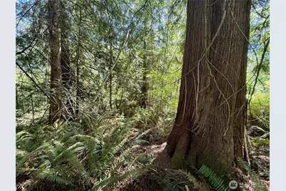 5162 Phillips Road SE, Port Orchard, WA 98367 - Photo 26