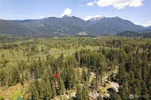 271 Skate Creek Rd, Ashford, WA 98304 - Photo 40