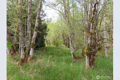 0 Xxx Hagen Road, Mossyrock, WA 98645 - Photo 12