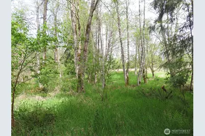 0 Xxx Hagen Road, Mossyrock, WA 98645 - Photo 28
