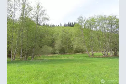 0 Xxx Hagen Road, Mossyrock, WA 98645 - Photo 4