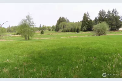 0 Xxx Hagen Road, Mossyrock, WA 98645 - Photo 10