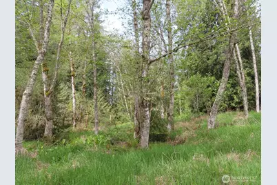 0 Xxx Hagen Road, Mossyrock, WA 98645 - Photo 16
