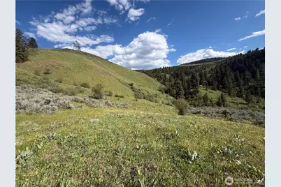 0 Tyee View Loop, Waterville, WA 98858 - Photo 10