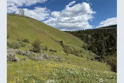 0 Tyee View Loop, Waterville, WA 98858 - Photo 4