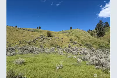 0 Tyee View Loop, Waterville, WA 98858 - Photo 2