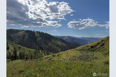 0 Tyee View Loop, Waterville, WA 98858 - Photo 6