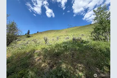 0 Tyee View Loop, Waterville, WA 98858 - Photo 16
