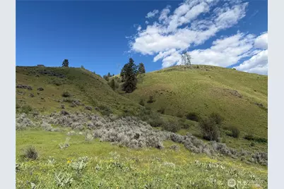 0 Tyee View Loop, Waterville, WA 98858 - Photo 8