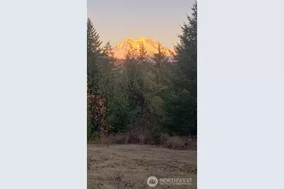 15521 Scott Turner Road E, Eatonville, WA 98328 - Photo 24