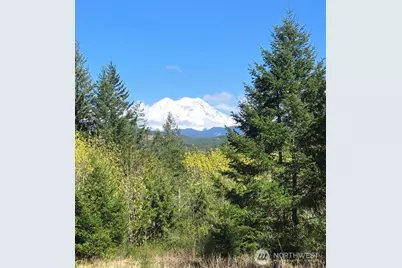 15521 Scott Turner Road E, Eatonville, WA 98328 - Photo 2