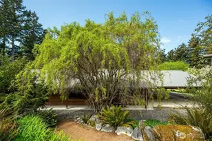 343 Burt Rd, Lopez Island, WA 98261 - Photo 26
