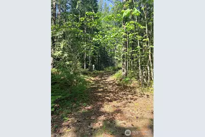 30 N Skokomish Drive, Hoodsport, WA 98548 - Photo 6