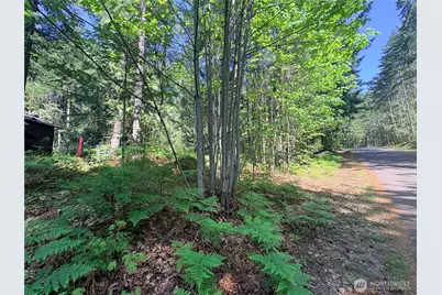 30 N Skokomish Drive, Hoodsport, WA 98548 - Photo 8