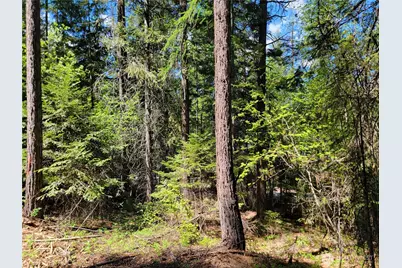 263 Twin Lakes Road, Inchelium, WA 99138 - Photo 2