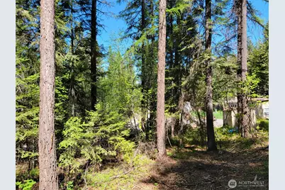 263 Twin Lakes Road, Inchelium, WA 99138 - Photo 1