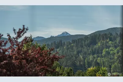 320 Morgison Loop, Sequim, WA 98382 - Photo 26