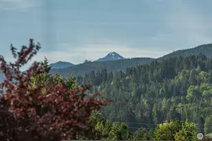 320 Morgison Loop, Sequim, WA 98382 - Photo 26