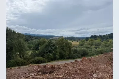 0 Garrard Creek Road, Oakville, WA 98568 - Photo 6