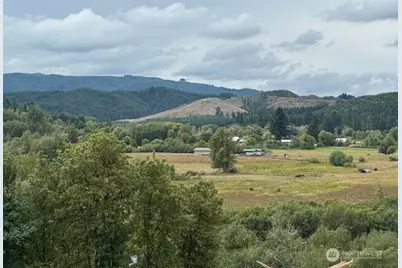 0 Garrard Creek Road, Oakville, WA 98568 - Photo 1