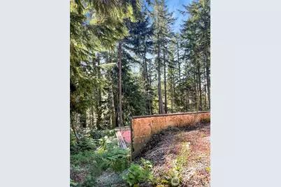 111 N Colony Surf Drive, Lilliwaup, WA 98555 - Photo 4