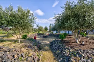 31 Blue Skies Ln, Cathlamet, WA 98612 - Photo 28