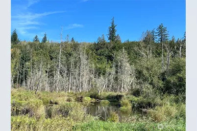 28897 X Highway 101, Quilcene, WA 98376 - Photo 8