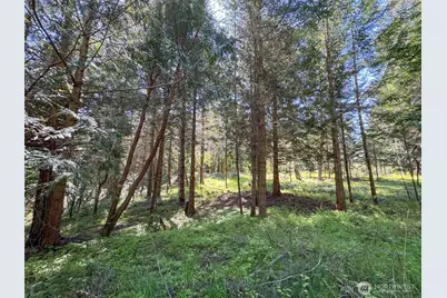 392 Holgerson Road #Lot 3, Sequim, WA 98382 - Photo 30