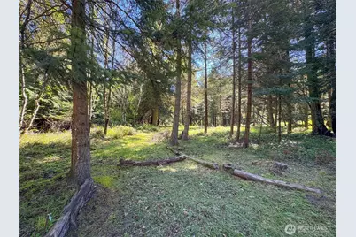 392 Holgerson Road #Lot 3, Sequim, WA 98382 - Photo 8