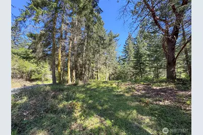 392 Holgerson Road #Lot 3, Sequim, WA 98382 - Photo 16