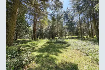 392 Holgerson Road #Lot 3, Sequim, WA 98382 - Photo 10