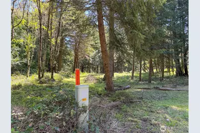 392 Holgerson Road #Lot 3, Sequim, WA 98382 - Photo 6