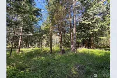 392 Holgerson Road #Lot 3, Sequim, WA 98382 - Photo 32