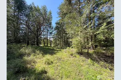 392 Holgerson Road #Lot 3, Sequim, WA 98382 - Photo 20
