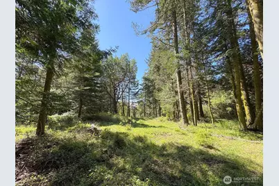392 Holgerson Road #Lot 3, Sequim, WA 98382 - Photo 22