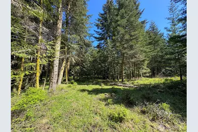 392 Holgerson Road #Lot 3, Sequim, WA 98382 - Photo 18
