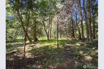 392 Holgerson Road #Lot 3, Sequim, WA 98382 - Photo 28