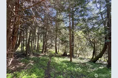 392 Holgerson Road #Lot 3, Sequim, WA 98382 - Photo 26